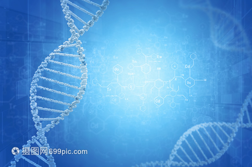 DNA分子高科技DNA分子的生物化学背景
